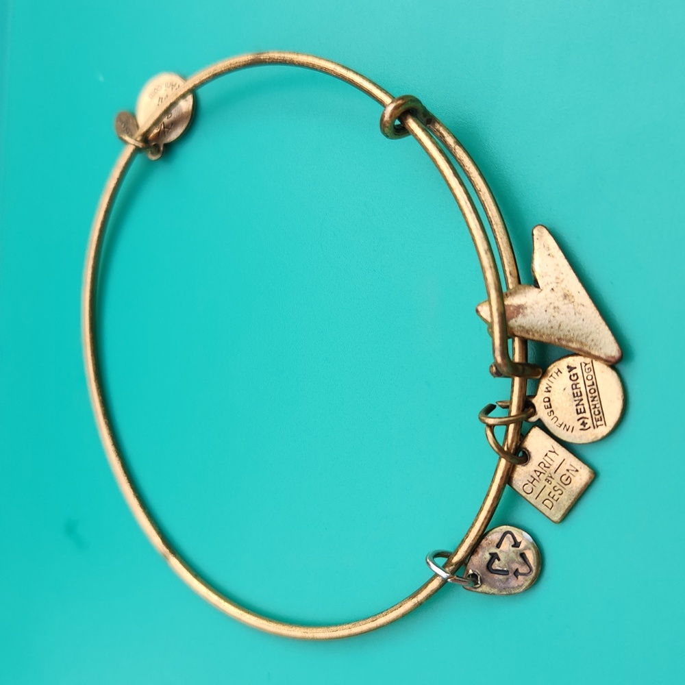 Alex & Ani RG Shark Fin Charity by Design Bracelet